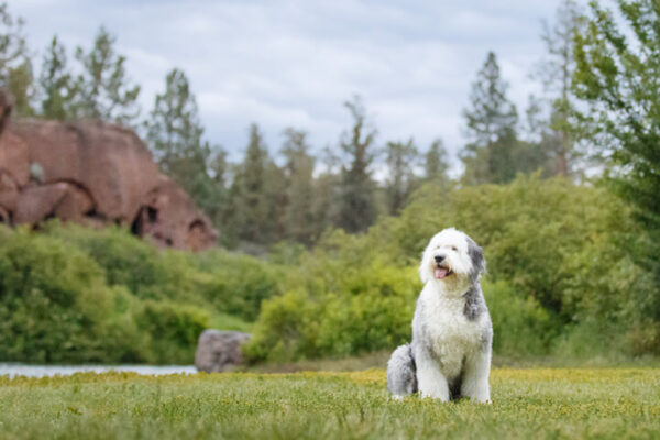 taneya-thayden-photography-oregon-Tumalo-state-park_sm